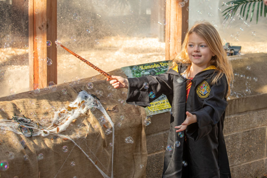 little girl dressed as a wizard waving her wand with bubbles