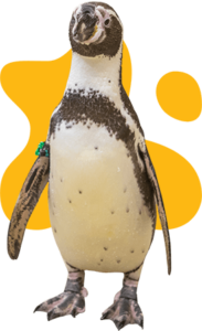 Butterfly House & Aquarium photo 2